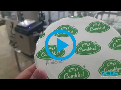 Ecos 86S - Industrial Continuous Inkjet Printer - CIJ Printer